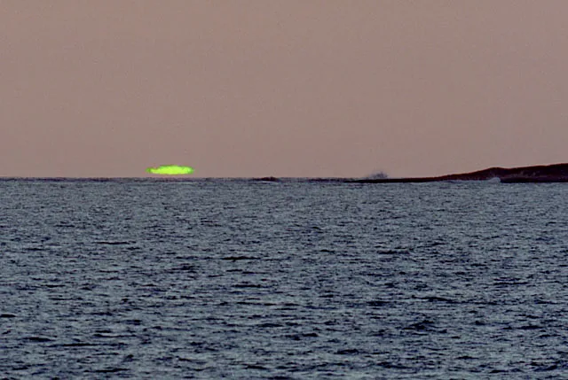 Andrew T Young's Website